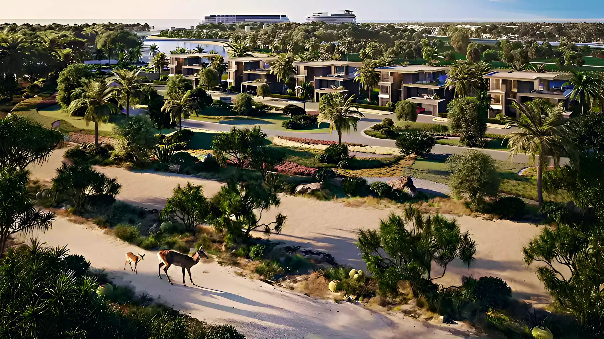 The natural reserve beside the community, with a gazelle on the dunes